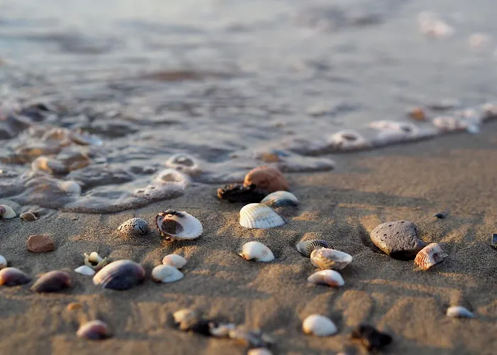 Comfortable With Garden